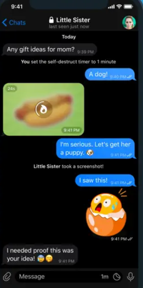 Telegram Messenger