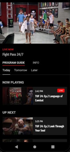 UFC