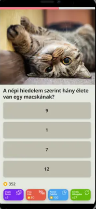 Kérdések & Váaszok