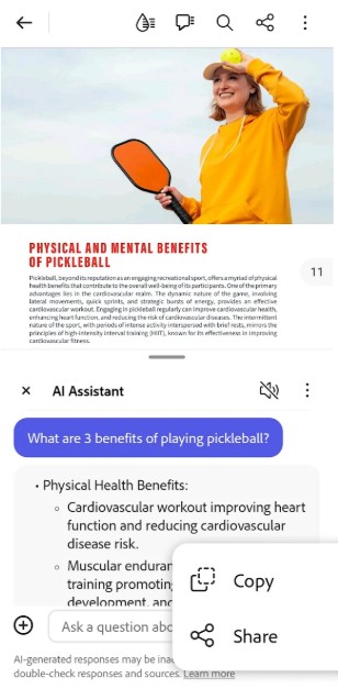 Adobe Acrobat Reader