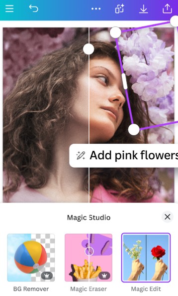 Canva