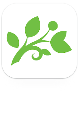 MagNet MobilBank